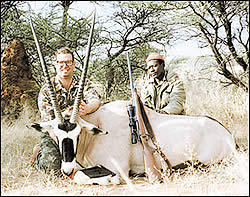 Gemsbok