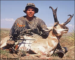 Antelope