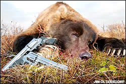 Brown bear