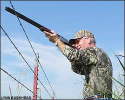 Dove hunting