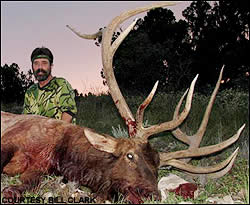 Elk