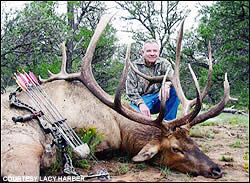 Elk