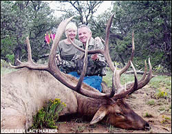 Elk