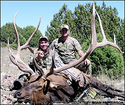 Elk