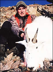 Mountain goat