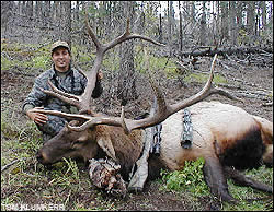 Elk