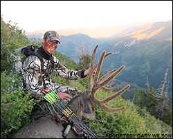Mule deer