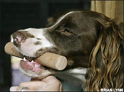 Mouth conditioning