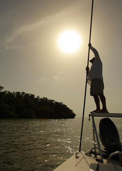 IGFA