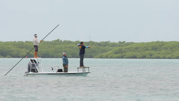 saltwater islamorada celebrity redbone