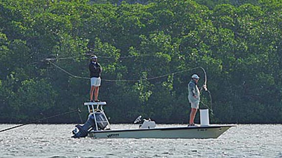 saltwater islamorada celebrity redbone