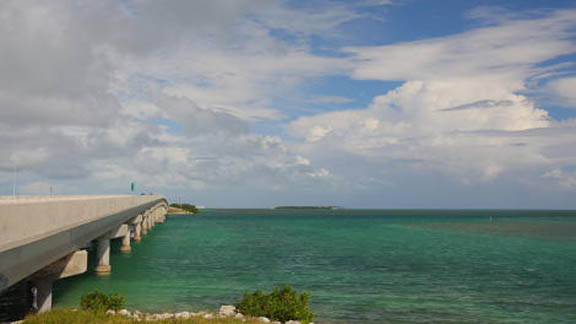 saltwater islamorada celebrity redbone