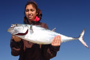 brown beach bait blast