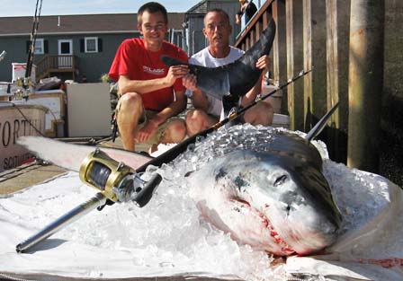 265 Pound Mako Shark