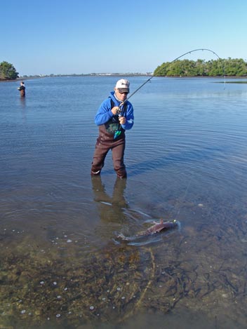 Wading Wonder