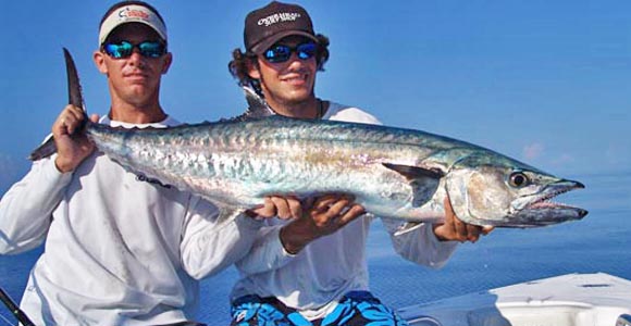 kingfish