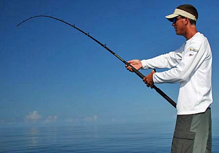 kingfish