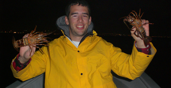 Spiny Lobster