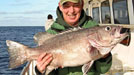 saltwater brown snook closed