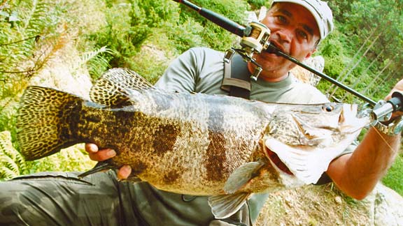IGFA world record submissions