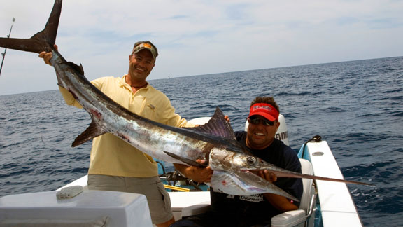 Mazatlan marlin