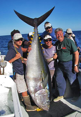 igfa world record yellowfin tuna