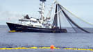 bilfish foundation boat assualt costa rica