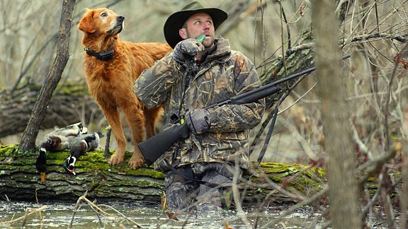 retrievers