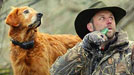 retrievers