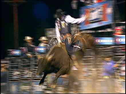 Dustin Elliott Pbr