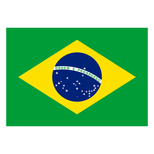 Brazil flag