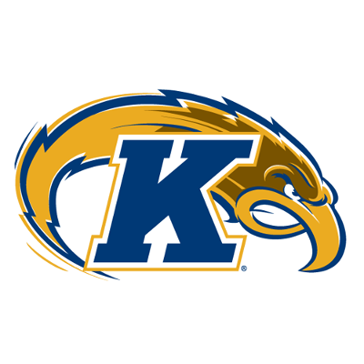 Team logo for Kent State