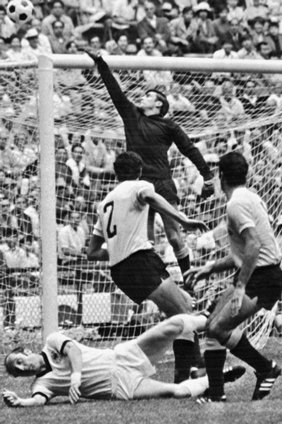 [Immagine: i?img=%2Fphoto%2F2020%2F0515%2Fr699053_8...format=jpg]