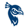 Saint Peter's Peacocks