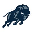 Howard Bison