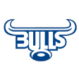 Bulls