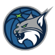 Minnesota Lynx