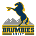 Brumbies