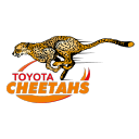 Cheetahs