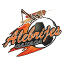 Alebrijes de Oaxaca