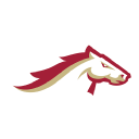 Birmingham Stallions