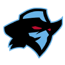Dallas Renegades