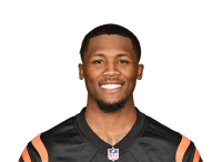 Tee Higgins headshot