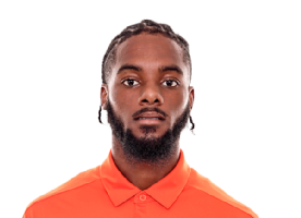 Dywan Griffin