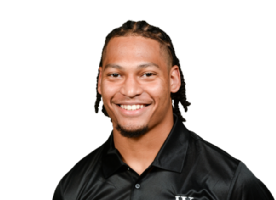 Maximus Pulley