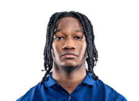 Bryan Domino
