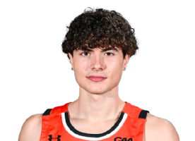 Efe Gucoglu