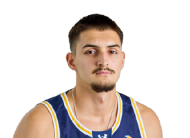 Dimitrije Vukicevic