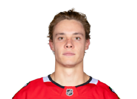 Alex Vlasic