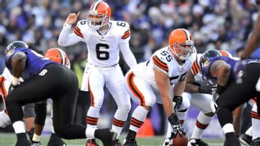 Cleveland Browns fans: Should Jake Delhomme or Seneca Wallace back up Colt  McCoy? Poll 